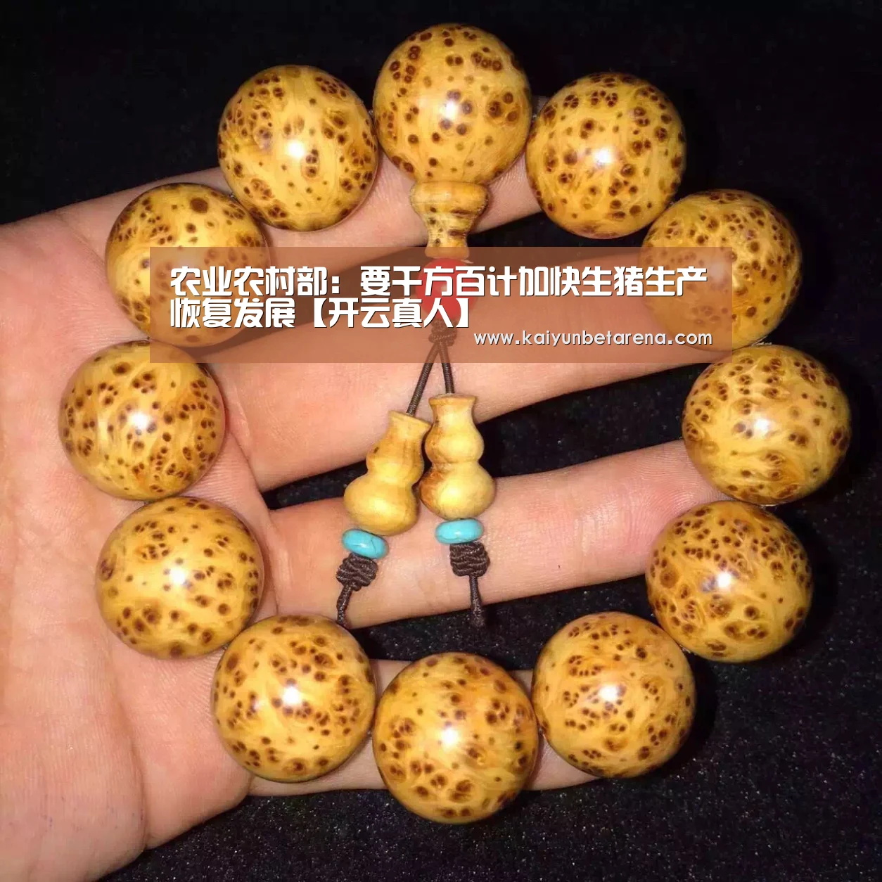 开云真人