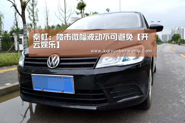 秦虹:楼市微幅波动不可避免【开云娱乐】(图1) 开云在线