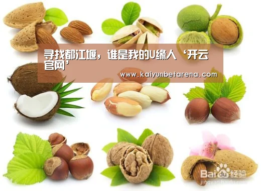 寻找都江堰,谁是我的U缘人‘开云官网’(图2) 开云在线