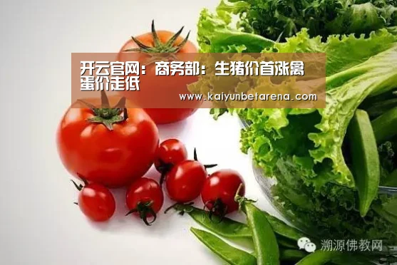 开云娱乐