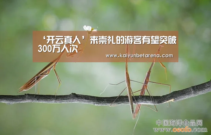 ‘开云真人’来崇礼的游客有望突破300万人次(图1) 开云娱乐