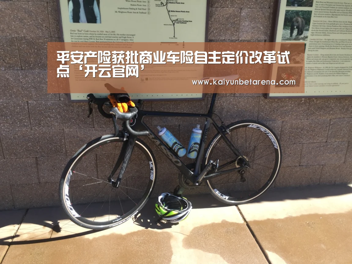 平安产险获批商业车险自主定价改革试点‘开云官网’(图3) 开云娱乐