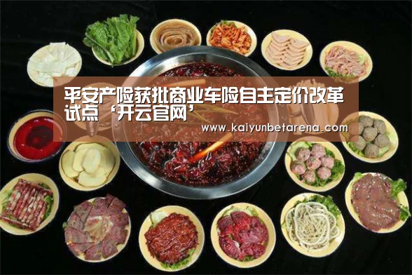 平安产险获批商业车险自主定价改革试点‘开云官网’(图4) 开云真人