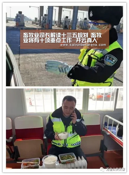 开云娱乐