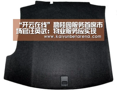 开云在线