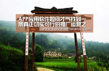开云娱乐