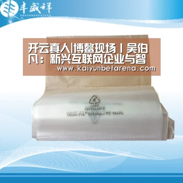 开云真人|博鳌现场丨吴伯凡:新兴互联网企业与智能城市群(图1) 开云真人