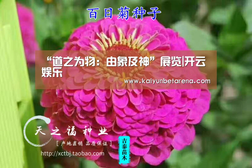 “道之为物:由象及神”展览|开云娱乐(图1) 开云真人