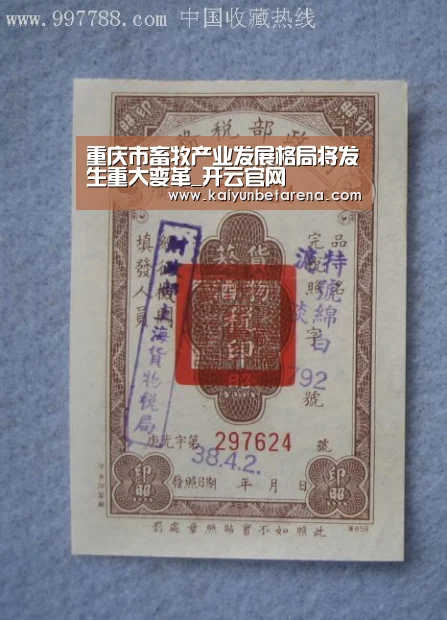 开云娱乐