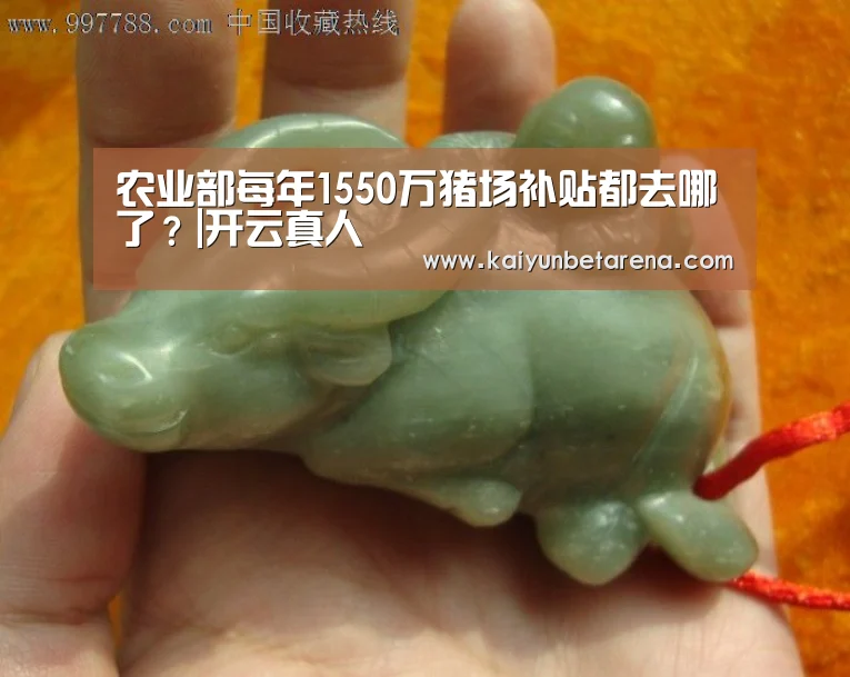 农业部每年1550万猪场补贴都去哪了?|开云真人(图3) 开云官网