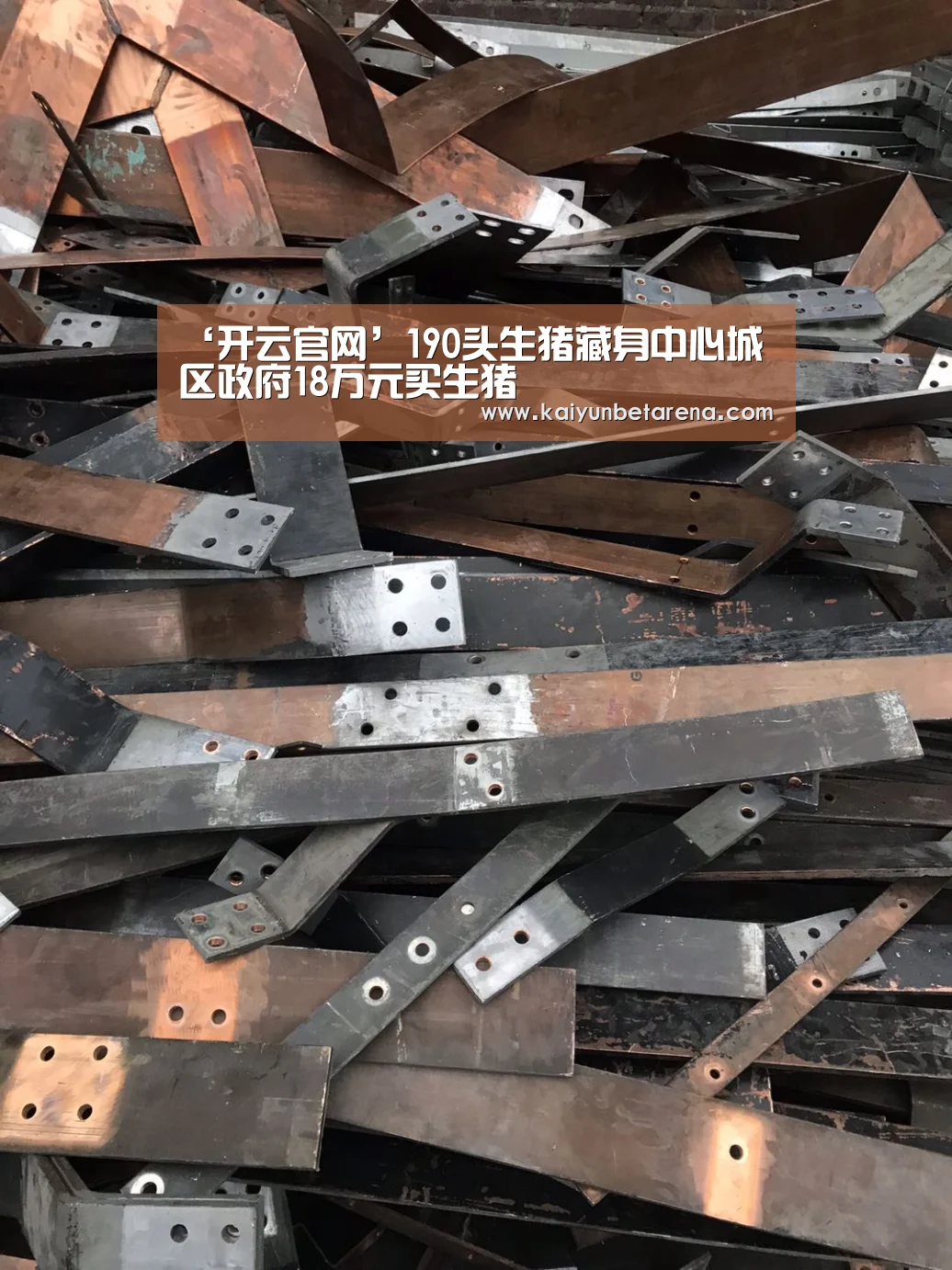 开云娱乐