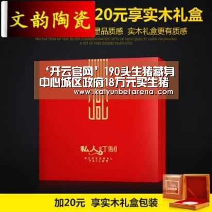 开云在线