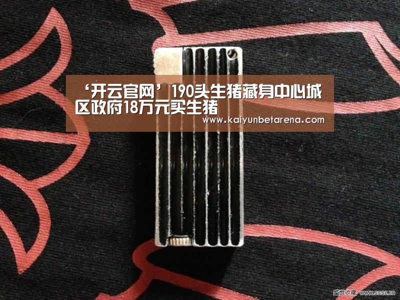 开云在线